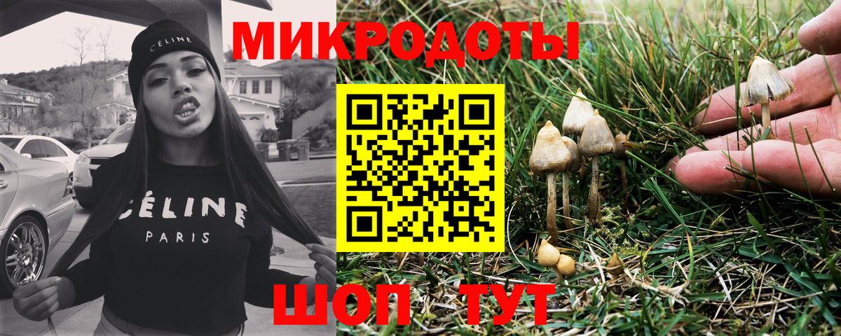 Псилоцибиновые грибы Magic Shrooms Россия