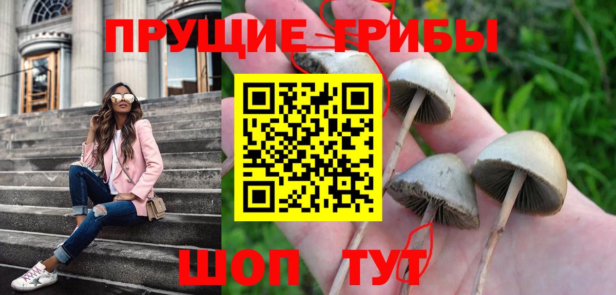 Россия  Галлюциногенные грибы GOLDEN TEACHER  Вход с VPN 
